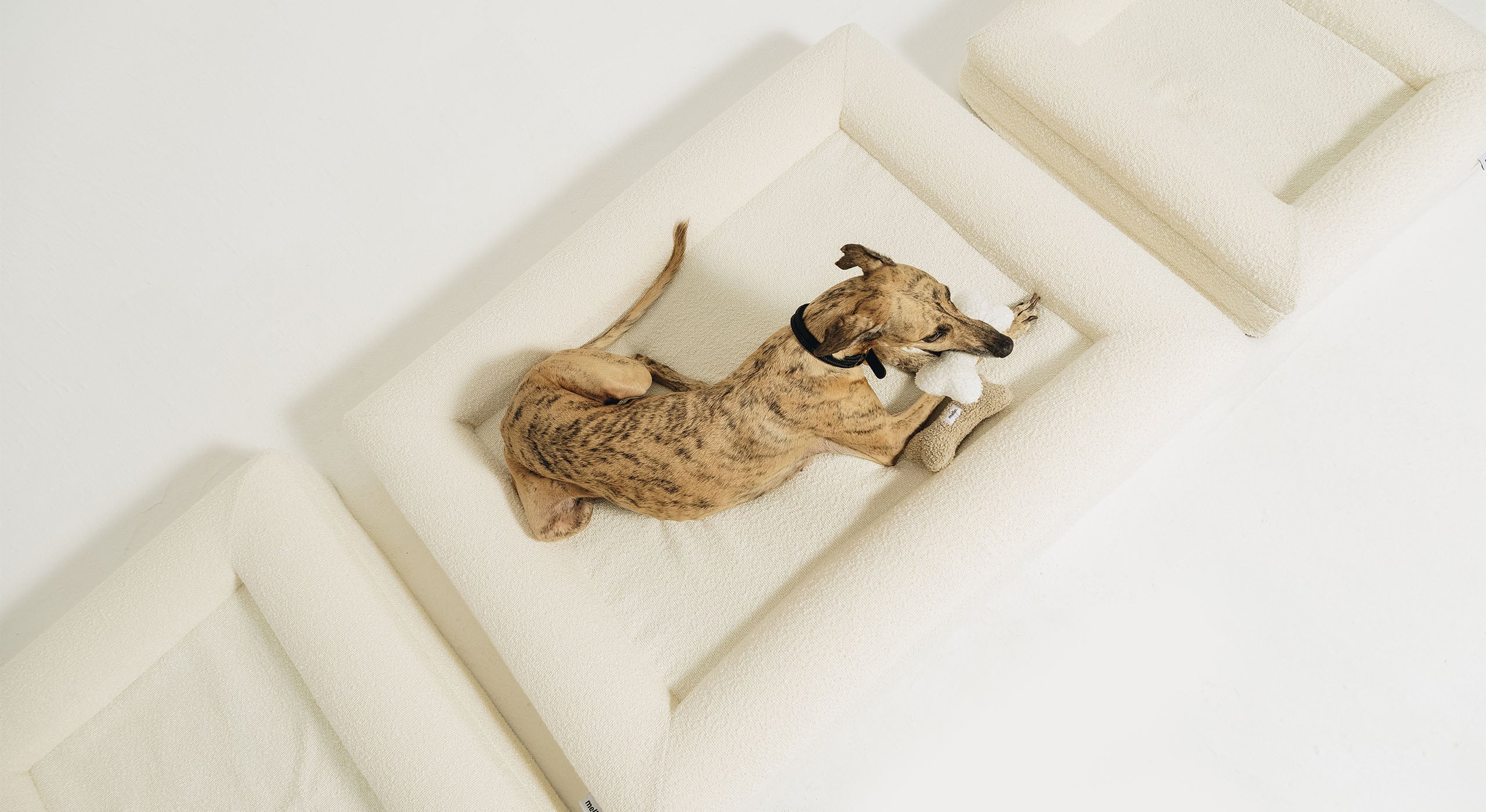 A brindle Whippet lying with chew toys on a cream bouclé Mello bolster dog bed