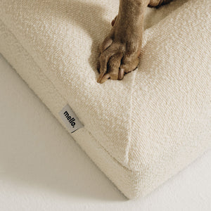 Close-up of a dog's paw on a cream bouclé Mello bolster bed corner featuring the brand label