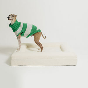 A Whippet in a green striped sweater standing inside a cream bouclé Mello bolster dog bed